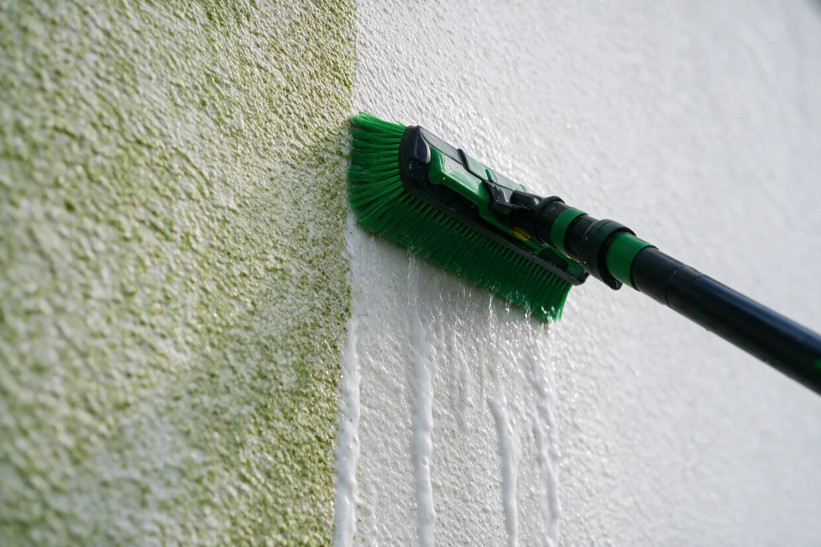 Crepi van dichtbij: links nog groen, rechts wit, met de zachte borstel ertussen